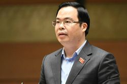Đề xuất cấm người không đủ nguồn lực tài chính tham gia đấu giá