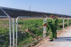 Cắt trộm hàng trăm tấm lưới B40 bảo vệ cao tốc Bắc - Nam
