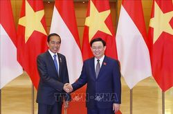Chủ tịch Quốc hội Vương Đình Huệ hội kiến Tổng thống Indonesia Joko Widodo