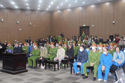 Cựu Chủ tịch Công ty Việt Á lĩnh án 29 năm tù