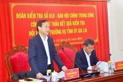 Đoàn Kiểm tra 810 làm việc với Ban Thường vụ Tỉnh ủy