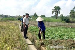 Bắt đầu từ ngày 23-1 hồ thủy điện xả nước phục vụ sản xuất vụ Xuân