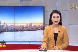 Chương trình Thời sự 11h30 | 12/01/2024
