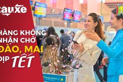 Hàng không Việt nhận chở cành đào, mai dịp Tết Giáp Thìn| Bản tin Tàu và Xe | 12/01/2024