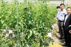 Vận động, giúp dân làm giàu