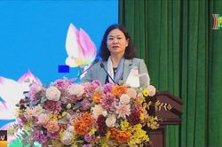 Tập trung củng cố tổ chức cơ sở Đảng sau kiểm điểm