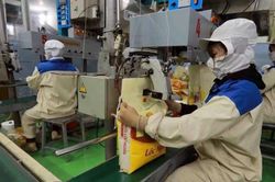 Vì sao gạo Việt xuất khẩu vượt trội?