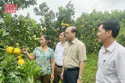 'Đòn bẩy' giúp nông dân vượt khó, làm giàu