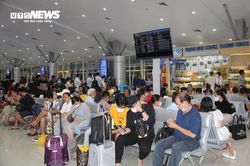Các hãng bay tăng chuyến dịp cuối năm, giá vé máy bay Tết vẫn cao chót vót