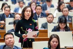 Sửa Luật Đất đai: Không lãng phí 'bờ xôi, ruộng mật'