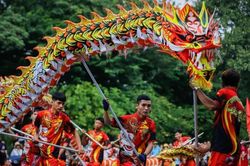 Triển lãm về hình ảnh rồng chào xuân Giáp Thìn 2024