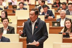 Cân nhắc quy định ngân hàng thương mại làm đại lý bảo hiểm nhân thọ