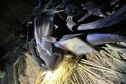 Nam thiếu niên điều khiển xe máy tông vào CSGT đang làm nhiệm vụ