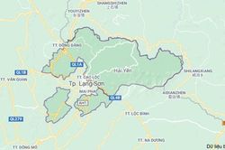 Lạng Sơn tổ chức Hội nghị Ban Chỉ đạo thực hiện sắp xếp đơn vị hành chính