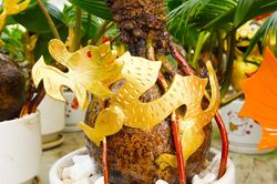 Độc đáo bonsai dừa hình linh vật hút khách mua dịp Tết