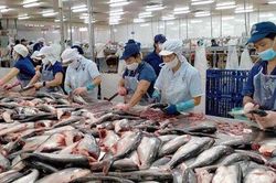Hải sản Nga vướng lệnh trừng phạt, thêm cơ hội cho cá tra Việt Nam?