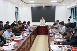 Không có chuyện bắt tay ép giá thu mua cà phê của nông dân