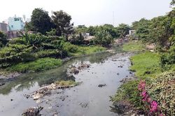 Thành phố Hồ Chí Minh thành lập Ban Chỉ đạo các dự án trọng điểm