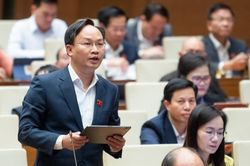 Đại biểu Quốc hội tiếp tục lo hệ lụy từ việc ngân hàng bán bảo hiểm