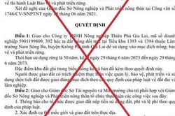 Gia Lai: Đề nghị Công an điều tra vụ giả quyết định của UBND tỉnh về cấp đất trồng rừng