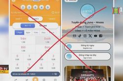 Cảnh báo nhiều hình thức lừa đảo nở rộ cận Tết