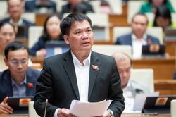 ĐBQH băn khoăn trước việc ngân hàng thương mại làm đại lý bảo hiểm
