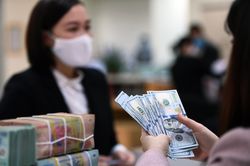Giá USD tự do lên gần 25.000 đồng