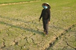 Chủ động ứng phó với nguy cơ hạn hán, thiếu nước