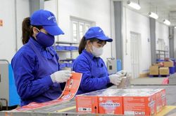 Bên trong nhà máy sản xuất pháo hoa Z121 ngày cận Tết Nguyên đán 2024