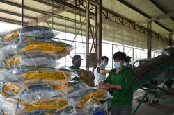 Tỉnh Đồng Tháp phấn đấu đạt mức tăng trưởng GRDP 8% trong năm 2024