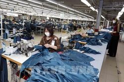 Cảnh báo doanh nghiệp cẩn trọng khi xuất khẩu sang Tây Ban Nha