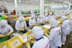 CPTPP là nhóm thị trường có tỷ trọng tăng trưởng xuất khẩu thủy sản lớn thứ 2 của Việt Nam