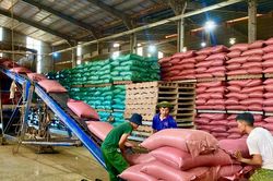 Triển khai 7 nhiệm vụ, giải pháp xây dựng, phát huy vai trò đội ngũ doanh nhân