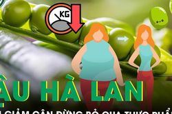 Muốn giảm cân đừng bỏ qua đậu Hà Lan