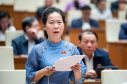 Nhất trí phân bổ hơn 2.526 tỷ đồng cấp điện lưới cho Côn Đảo