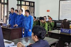 Chủ tịch công ty bất động sản và đồng phạm lừa đảo hơn 23 tỉ đồng