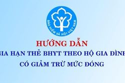 Hướng dẫn gia hạn thẻ BHYT hộ gia đình có giảm trừ mức đóng online năm 2024