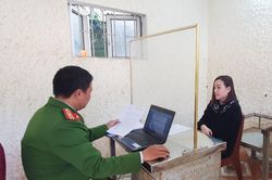 Bắt 'kiều nữ' lừa đảo chiếm đoạt trên 7,4 tỷ đồng