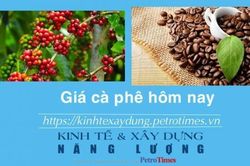 Giá cà phê hôm nay 17/1: Robusta có phiên tăng kỷ lục