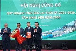 Quy hoạch tạo động lực phát triển mới cho tỉnh Gia Lai