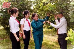 Đầu tư nguồn vốn góp phần xây dựng nông thôn mới trên địa bàn