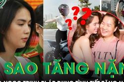 Vì sao cơ quan công tố áp dụng tình tiết tăng nặng trong vụ Ngọc Trinh?