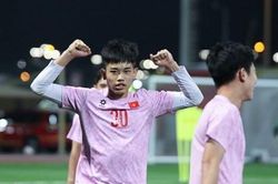 Đội tuyển Việt Nam có thể mất 'gà son' ở trận tuyển Việt Nam và Indonesia