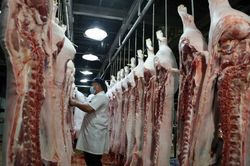 Giá heo hơi hôm nay 18/1: Giá heo hơi tiếp tục nhích lên, chạm mốc 58.000 đồng/kg, cơ cấu ngành chăn nuôi có sự thay đổi