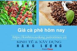 Giá cà phê hôm nay 18/1: Trong nước tăng mạnh
