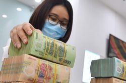 VNDirect: NHNN có thể giảm lãi suất điều hành thêm 0,5% vào quý 2/2024