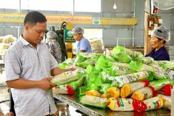 Hải Dương hỗ trợ kết nối, tiêu thụ các sản phẩm OCOP tỉnh Phú Thọ