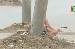 'Nghênh ngang' hàng cột điện giữa Quốc lộ 1A