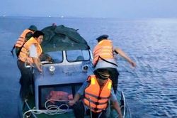 Hàng trăm tàu cá ở Thanh Hóa quá hạn đăng kiểm