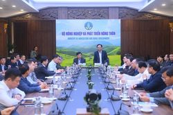 Tìm hướng khắc phục ngay những 'điểm nghẽn' làm chậm tiến độ triển khai Đề án 06 trong ngành nông nghiệp